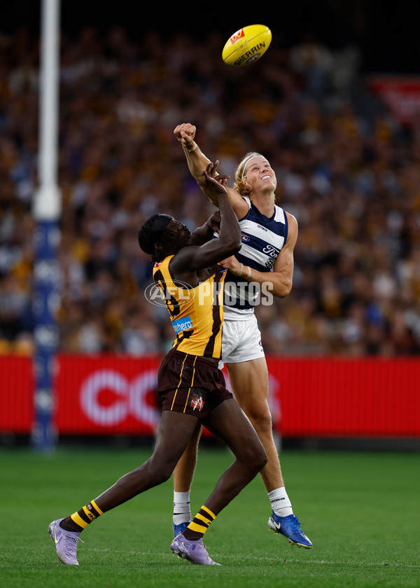 AFL 2025 Round 06 - Geelong v Hawthorn - A-58838961