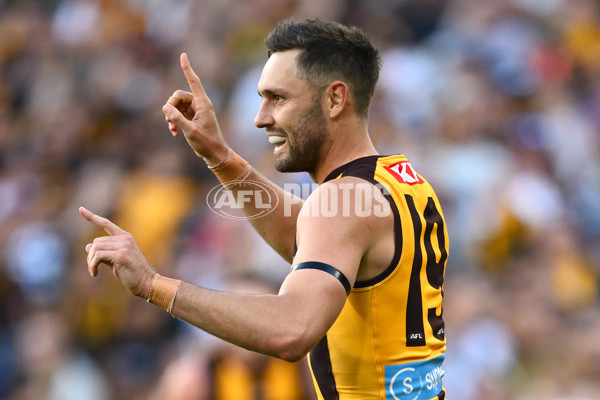 AFL 2025 Round 06 - Geelong v Hawthorn - A-58839275