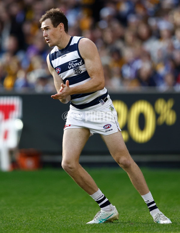 AFL 2025 Round 06 - Geelong v Hawthorn - A-58839283