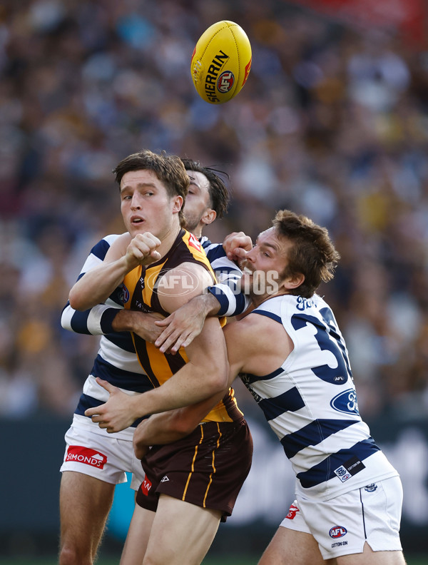 AFL 2025 Round 06 - Geelong v Hawthorn - A-58839285