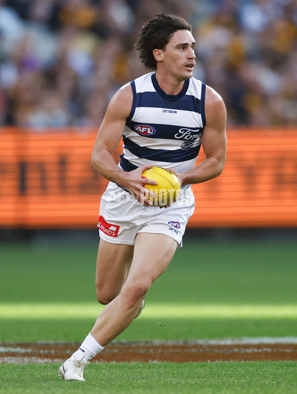AFL 2025 Round 06 - Geelong v Hawthorn - A-58839286