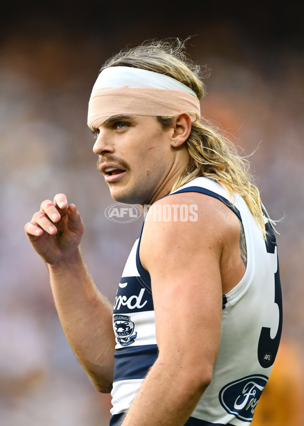 AFL 2025 Round 06 - Geelong v Hawthorn - A-58839296