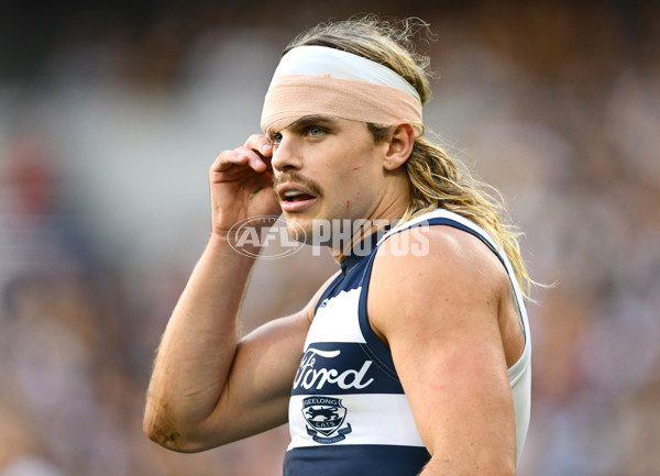 AFL 2025 Round 06 - Geelong v Hawthorn - A-58839297