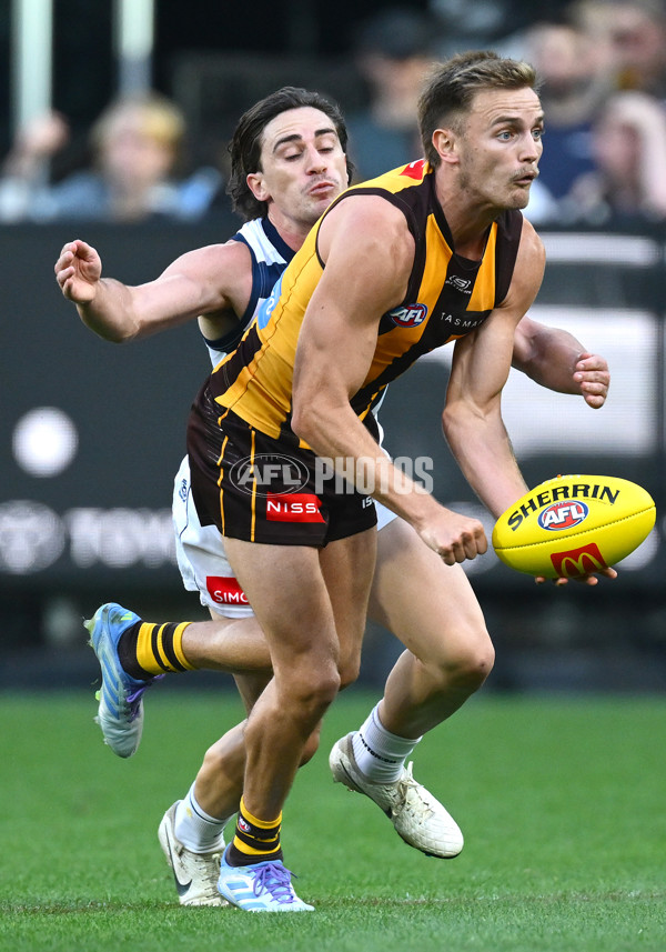 AFL 2025 Round 06 - Geelong v Hawthorn - A-58839303
