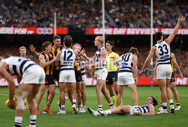 AFL 2025 Round 06 - Geelong v Hawthorn - A-58839326