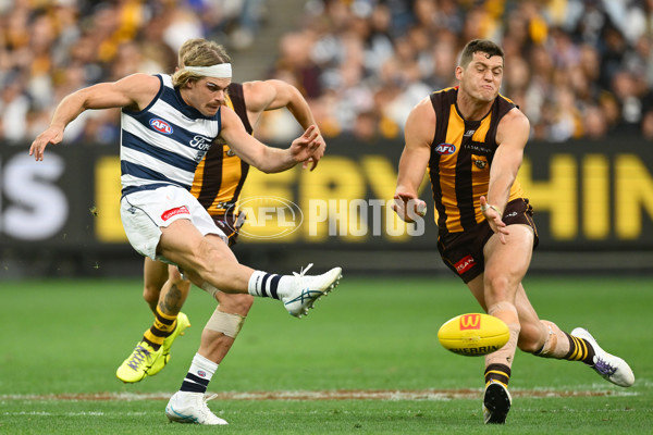 AFL 2025 Round 06 - Geelong v Hawthorn - A-58839332