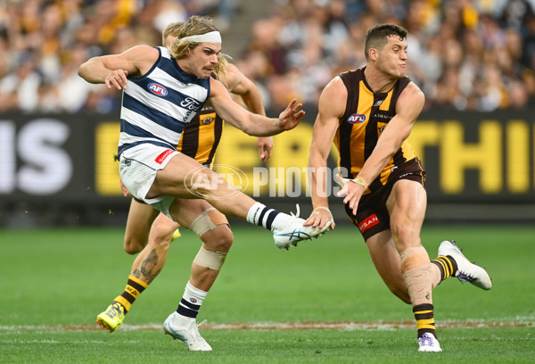 AFL 2025 Round 06 - Geelong v Hawthorn - A-58839333