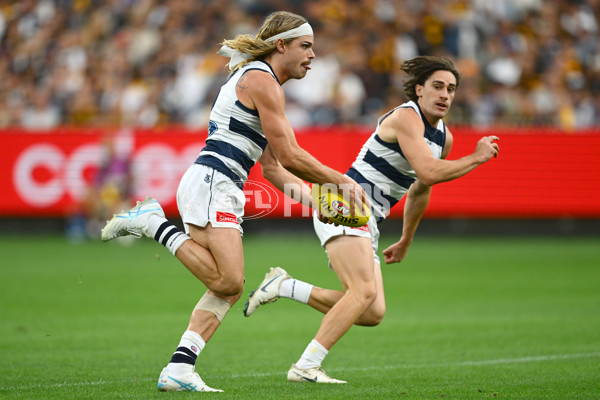 AFL 2025 Round 06 - Geelong v Hawthorn - A-58839339