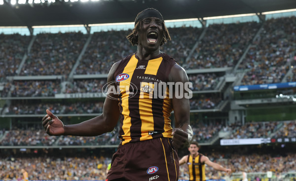 AFL 2025 Round 06 - Geelong v Hawthorn - A-58839341