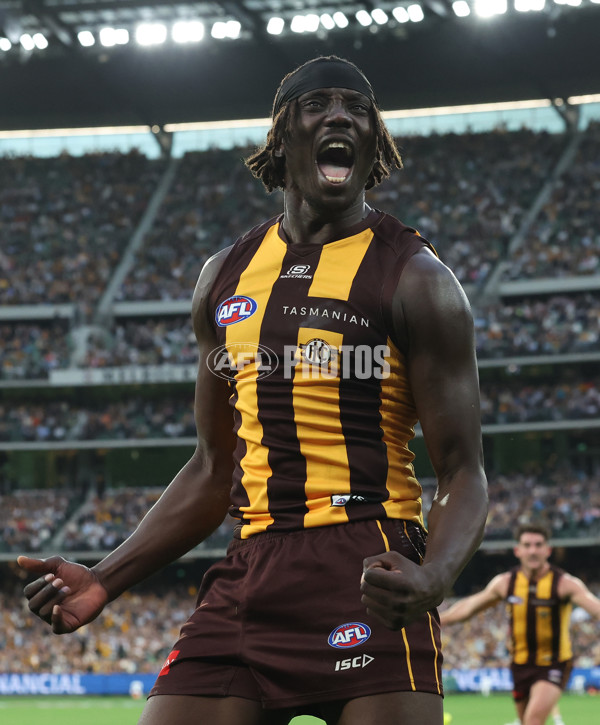 AFL 2025 Round 06 - Geelong v Hawthorn - A-58839343