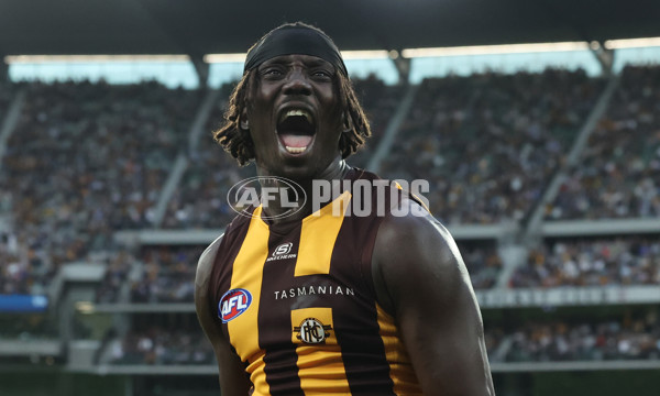 AFL 2025 Round 06 - Geelong v Hawthorn - A-58839347