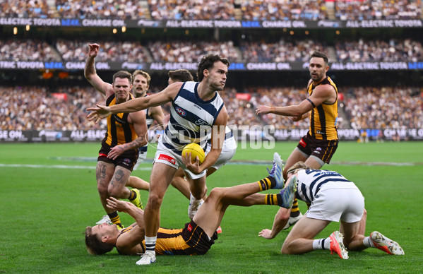 AFL 2025 Round 06 - Geelong v Hawthorn - A-58839353