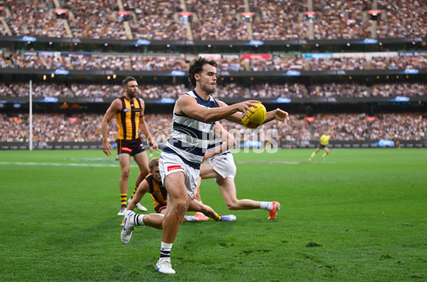 AFL 2025 Round 06 - Geelong v Hawthorn - A-58839354