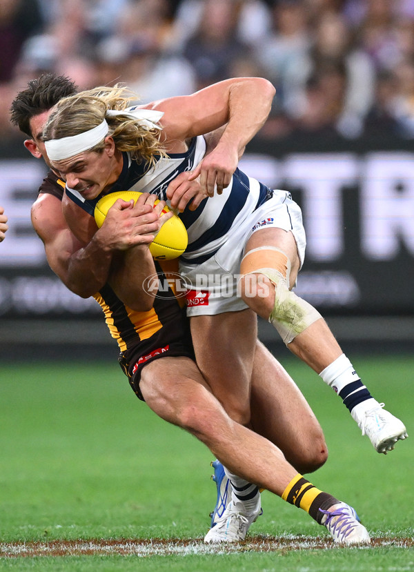 AFL 2025 Round 06 - Geelong v Hawthorn - A-58839355