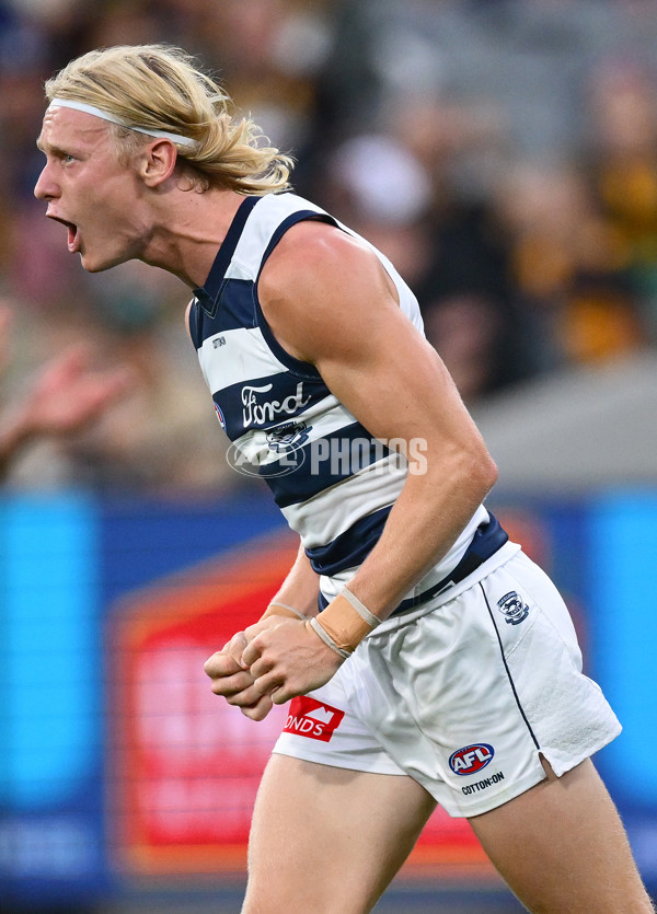 AFL 2025 Round 06 - Geelong v Hawthorn - A-58839357