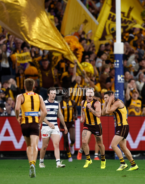 AFL 2025 Round 06 - Geelong v Hawthorn - A-58839359