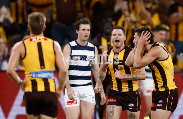 AFL 2025 Round 06 - Geelong v Hawthorn - A-58839361