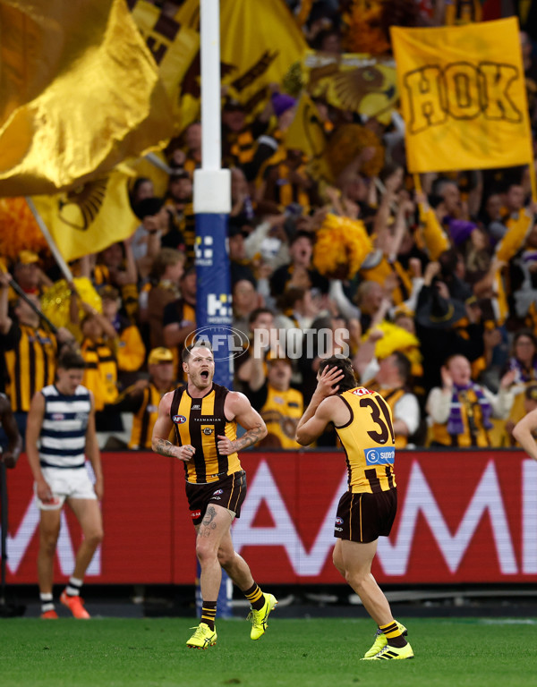 AFL 2025 Round 06 - Geelong v Hawthorn - A-58839362