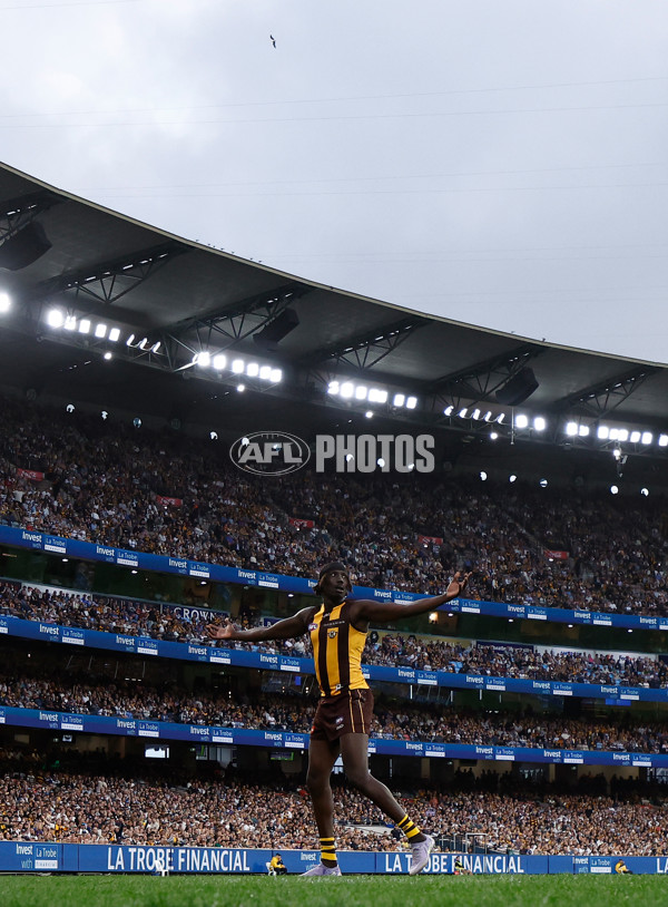 AFL 2025 Round 06 - Geelong v Hawthorn - A-58841596
