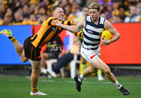 AFL 2025 Round 06 - Geelong v Hawthorn - A-58841608