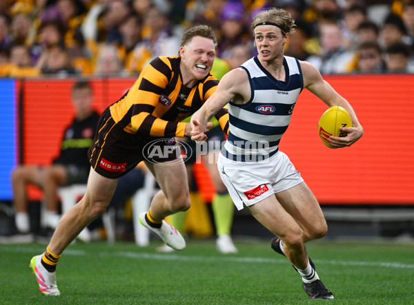 AFL 2025 Round 06 - Geelong v Hawthorn - A-58841610