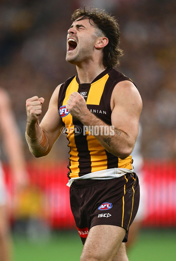 AFL 2025 Round 06 - Geelong v Hawthorn - A-58841626