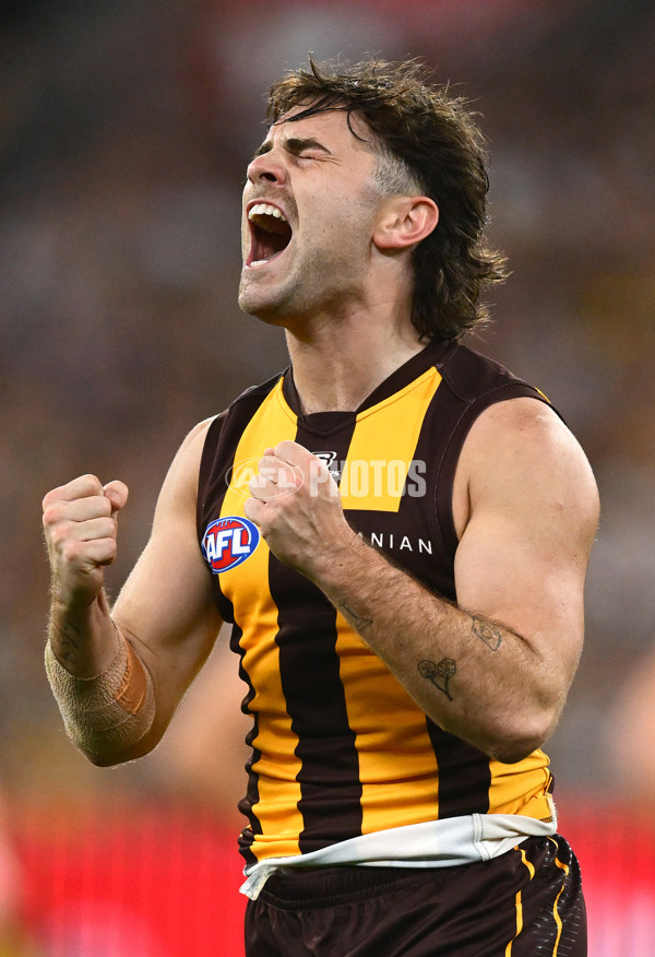 AFL 2025 Round 06 - Geelong v Hawthorn - A-58841627