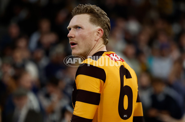 AFL 2025 Round 06 - Geelong v Hawthorn - A-58841641