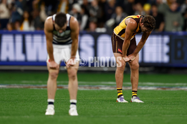 AFL 2025 Round 06 - Geelong v Hawthorn - A-58841650
