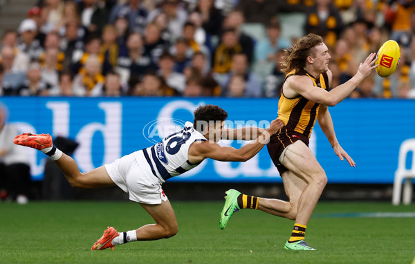 AFL 2025 Round 06 - Geelong v Hawthorn - A-58841672