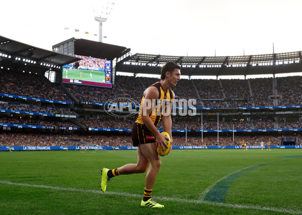 AFL 2025 Round 06 - Geelong v Hawthorn - A-58841681