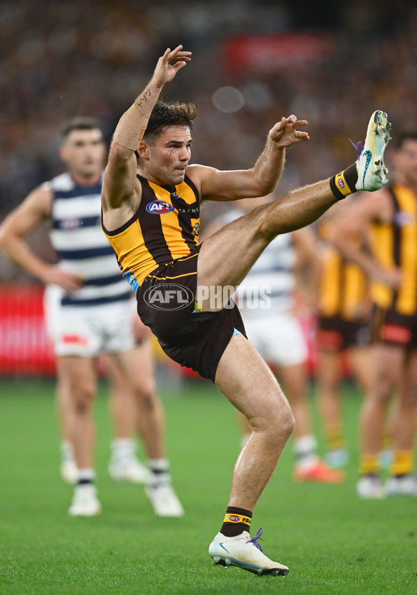 AFL 2025 Round 06 - Geelong v Hawthorn - A-58841922