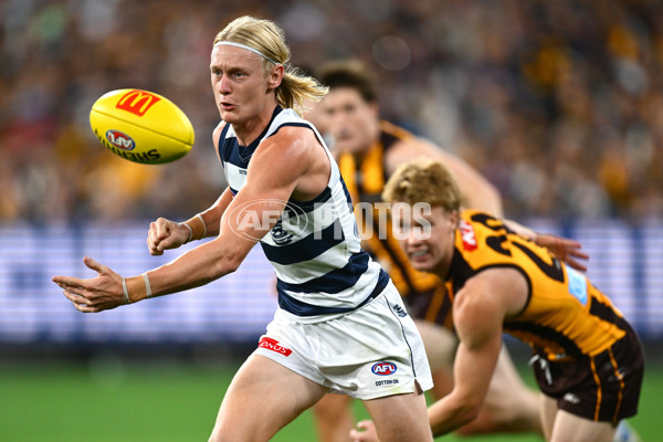 AFL 2025 Round 06 - Geelong v Hawthorn - A-58841926