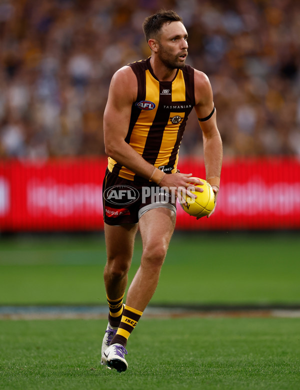 AFL 2025 Round 06 - Geelong v Hawthorn - A-58841988