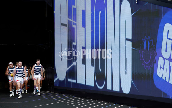 AFL 2025 Round 06 - Geelong v Hawthorn - A-58841991