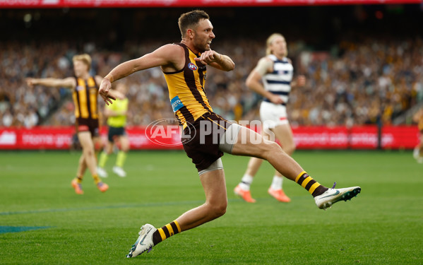 AFL 2025 Round 06 - Geelong v Hawthorn - A-58844538