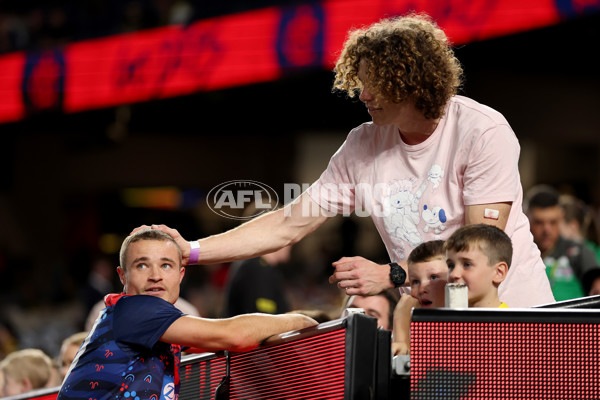 AFL 2025 Round 07 - Melbourne v Richmond - A-58924176