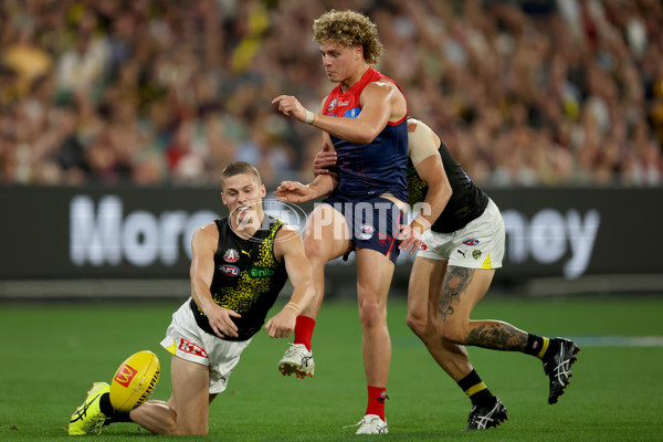 AFL 2025 Round 07 - Melbourne v Richmond - A-58930211