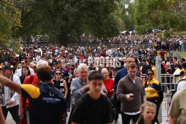 AFL 2025 Round 07 - Collingwood v Essendon - A-58938448