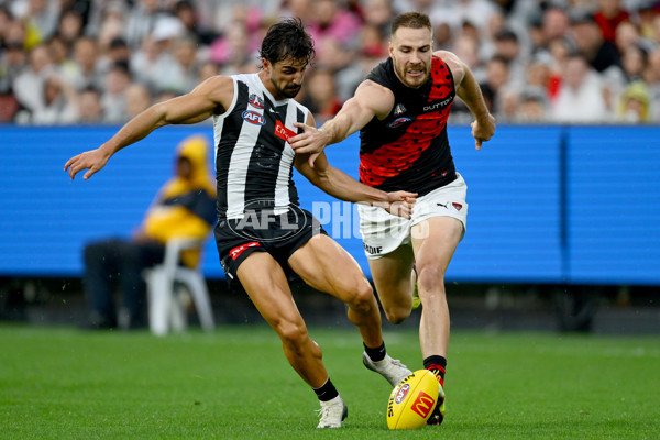 AFL 2025 Round 07 - Collingwood v Essendon - A-58943593