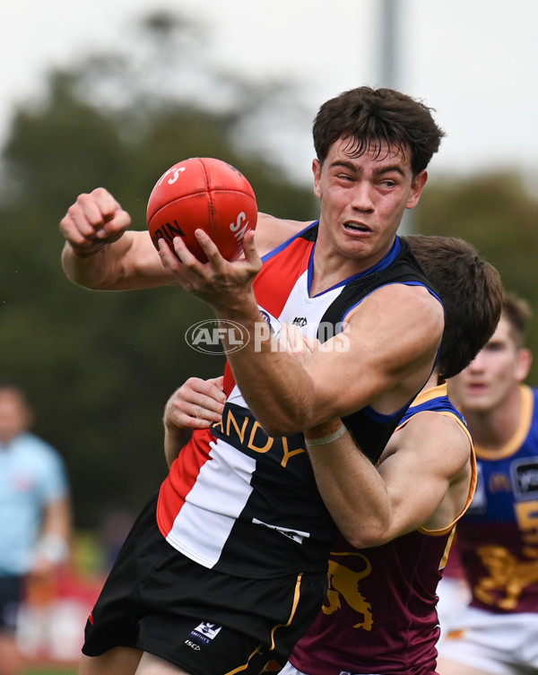 VFL 2025 Round 05 - Sandringham v Brisbane - A-58966307
