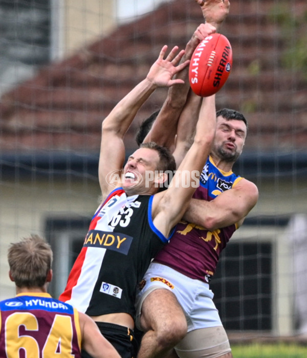 VFL 2025 Round 05 - Sandringham v Brisbane - A-58966310