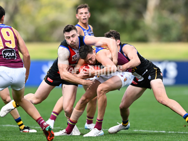 VFL 2025 Round 05 - Sandringham v Brisbane - A-58968979