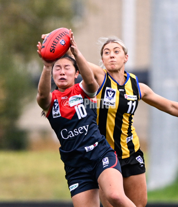 VFLW 2025 Round 02 - Sandringham v Casey - A-58974038