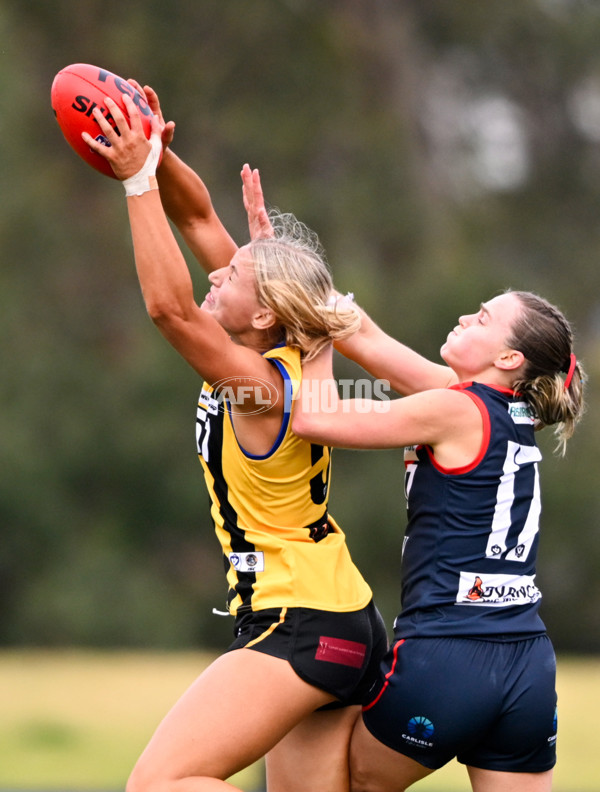 VFLW 2025 Round 02 - Sandringham v Casey - A-58974112