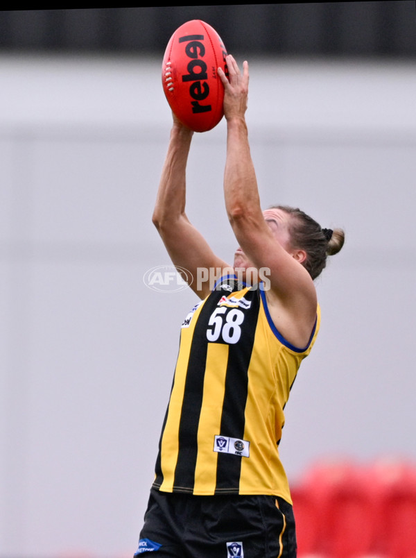 VFLW 2025 Round 02 - Sandringham v Casey - A-58976567