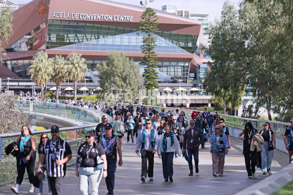 AFL 2025 Round 07 - Port Adelaide v North Melbourne - A-58976569