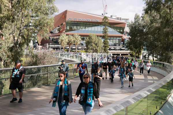 AFL 2025 Round 07 - Port Adelaide v North Melbourne - A-58976573