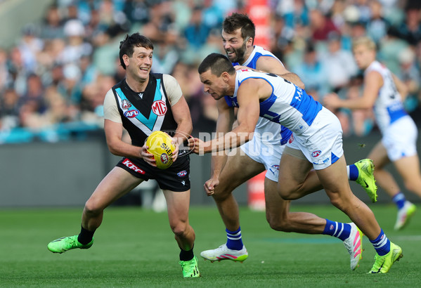 AFL 2025 Round 07 - Port Adelaide v North Melbourne - A-58979217