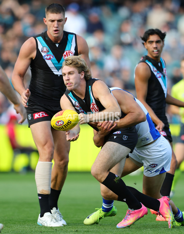 AFL 2025 Round 07 - Port Adelaide v North Melbourne - A-58979220